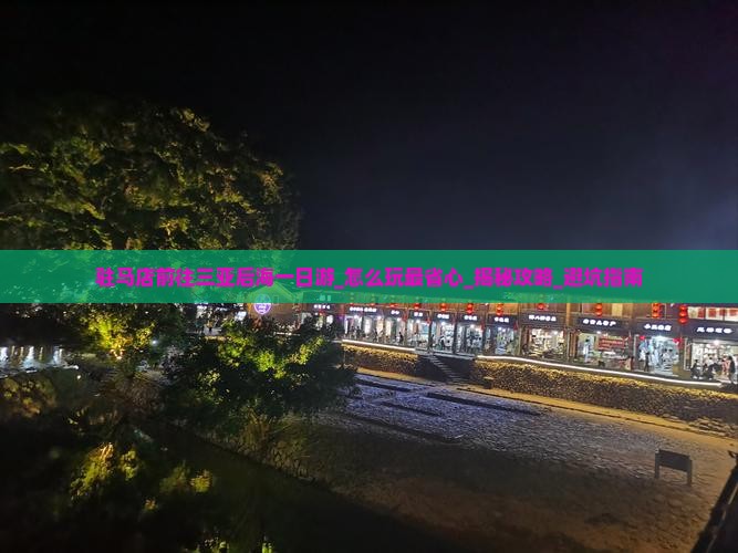 驻马店前往三亚后海一日游