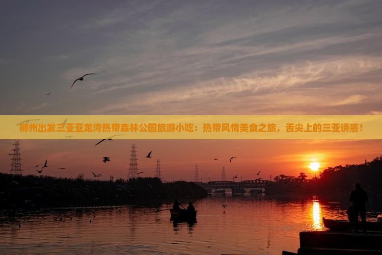 郴州出发三亚亚龙湾热带森林公园旅游小吃