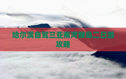哈尔滨出发三亚南湾猴岛二日游