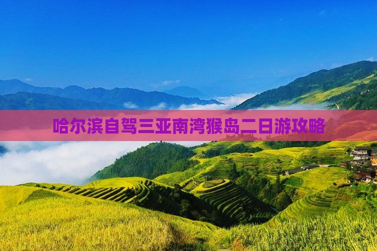 哈尔滨出发三亚南湾猴岛二日游