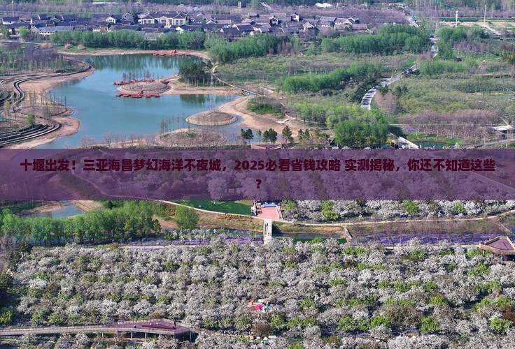 十堰前往三亚海昌梦幻海洋不夜城旅游网红地点
