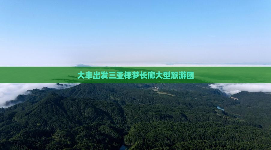 大丰出发三亚椰梦长廊大型旅游团