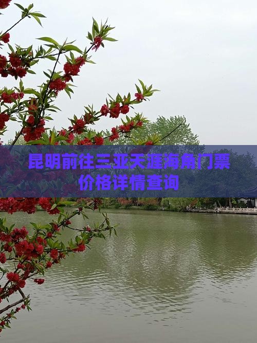 昆明前往三亚天涯海角门票价格详情查询