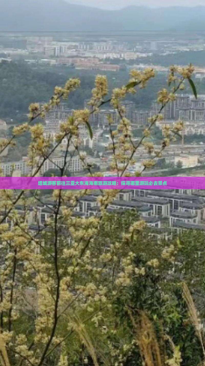 塔城游客前往三亚大东海海南旅游攻略：探寻哪里游玩必去景点
