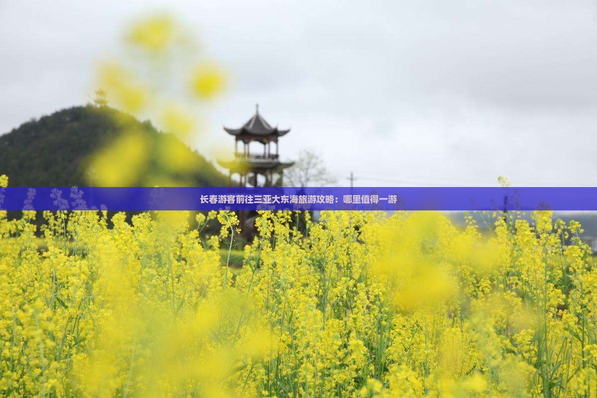 长春游客前往三亚大东海旅游攻略：哪里值得一游