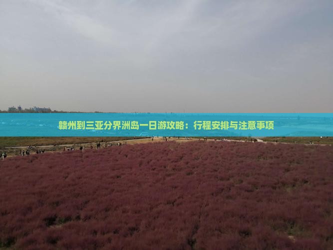赣州到三亚分界洲岛一日游攻略：行程安排与注意事项