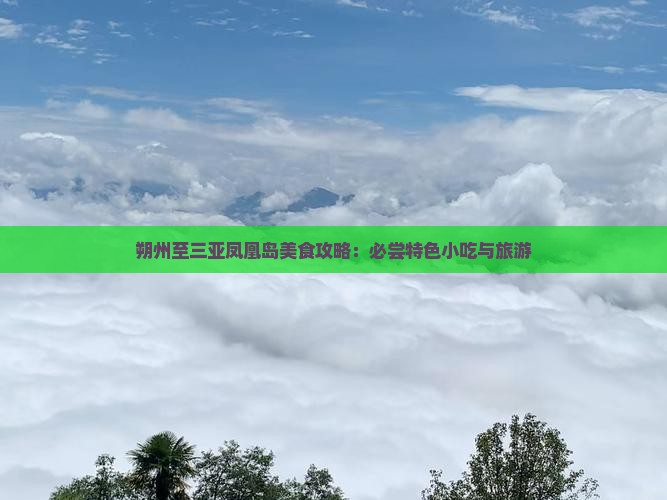 朔州至三亚凤凰岛美食攻略：必尝特色小吃与旅游