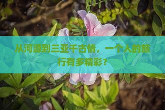 河源去三亚千古情个人游