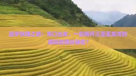 海口前往三亚亚龙湾国际玫瑰谷旅行社
