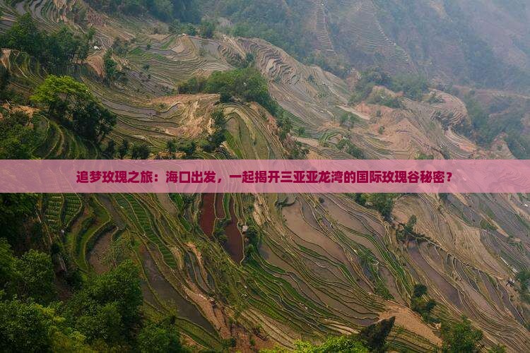 海口前往三亚亚龙湾国际玫瑰谷旅行社