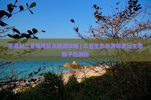 芜湖去三亚南湾猴岛哪里玩