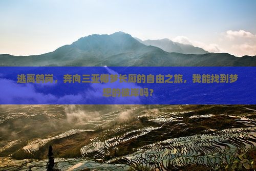 鹤岗出发三亚椰梦长廊自由行 鹤岗出发三亚椰梦长廊自由行