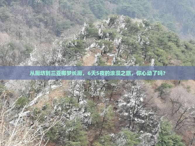 廊坊出发三亚椰梦长廊六日游