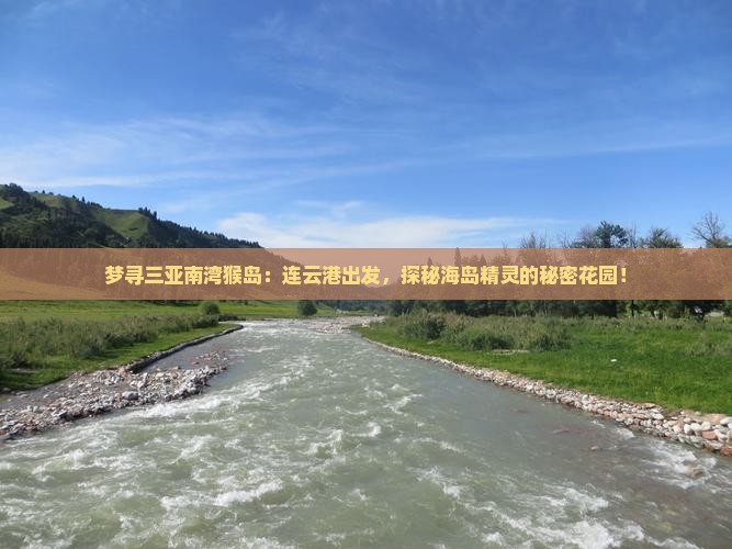 连云港前往三亚南湾猴岛旅游