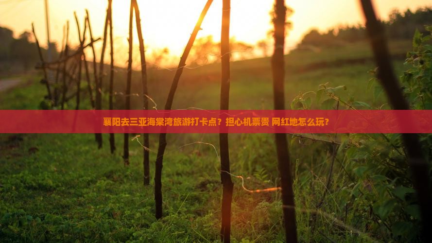 襄阳去三亚海棠湾旅游打卡点