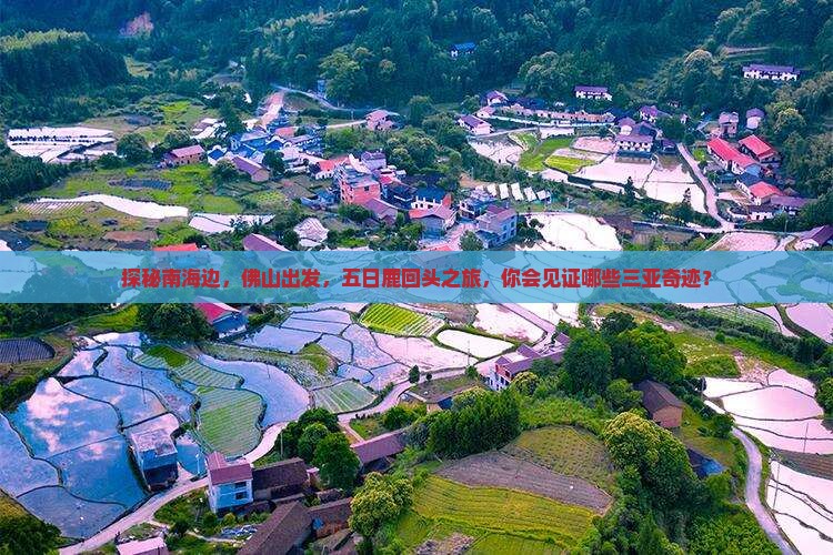 佛山去三亚鹿回头五日游