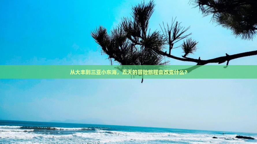 大丰前往三亚小东海五日游