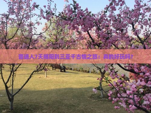 揭阳去三亚千古情七日游