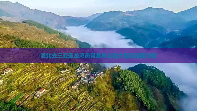 海北去三亚亚龙湾热带森林公园大型旅游团