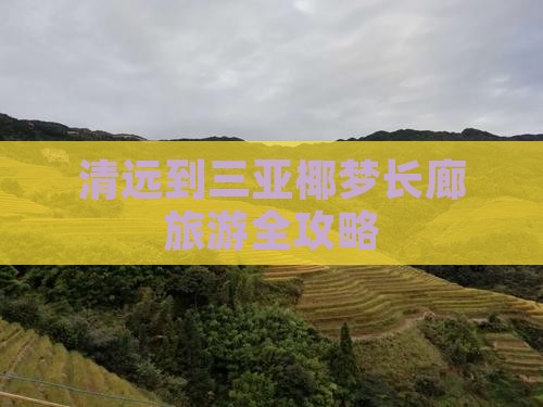 清远前往三亚椰梦长廊旅游 清远前往三亚椰梦长廊旅游