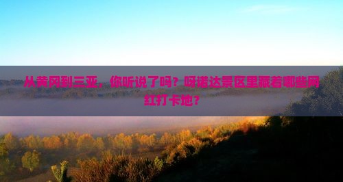黄冈去三亚呀诺达景区旅游网红地点