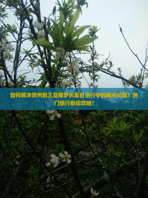 贺州去三亚椰梦长廊自由行