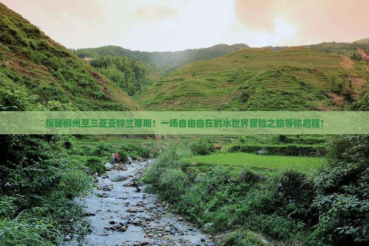 柳州出发三亚亚特兰蒂斯水世界自由团