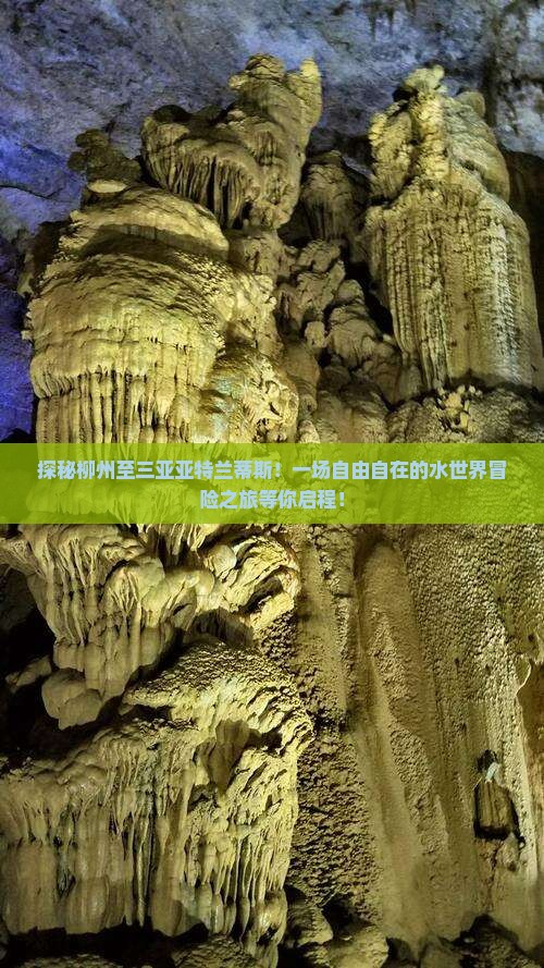 柳州出发三亚亚特兰蒂斯水世界自由团