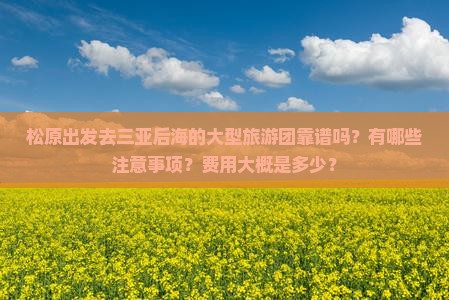 松原出发三亚后海大型旅游团