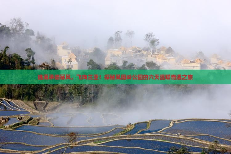 承德前往三亚凤凰岭公园六日游