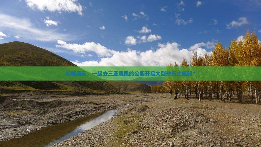 邯郸前往三亚凤凰岭公园大型旅游团