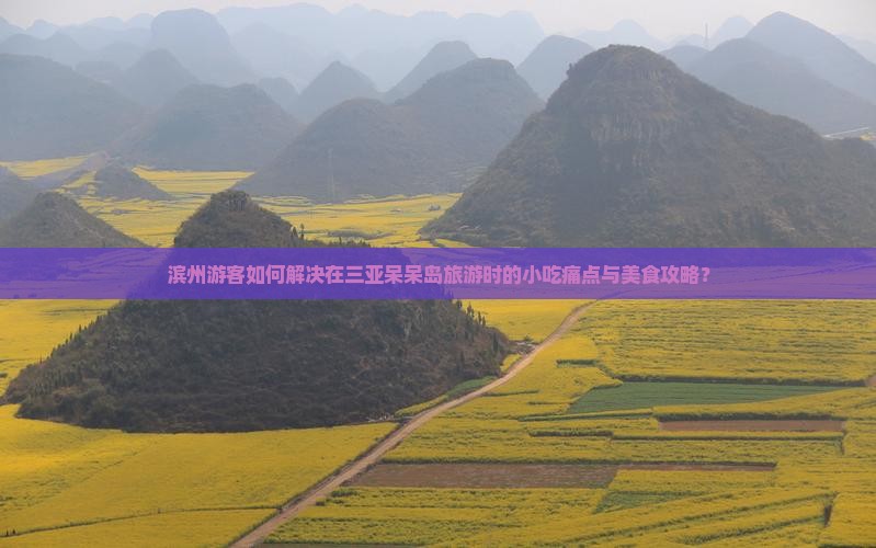 滨州前往三亚呆呆岛旅游小吃