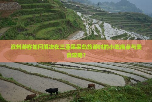 滨州前往三亚呆呆岛旅游小吃