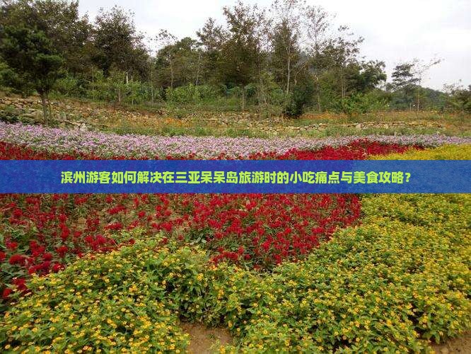 滨州前往三亚呆呆岛旅游小吃