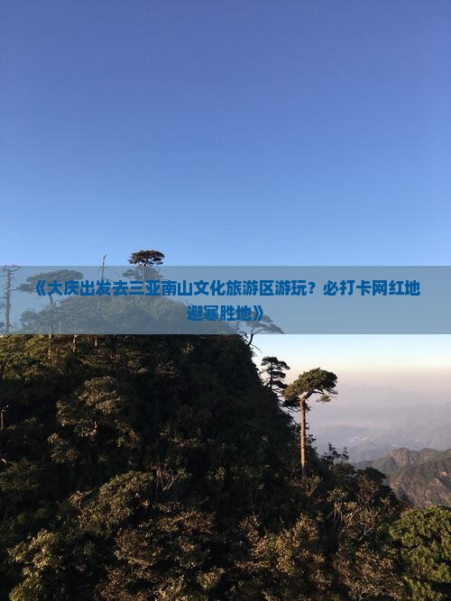 大庆出发三亚南山文化旅游区必玩地