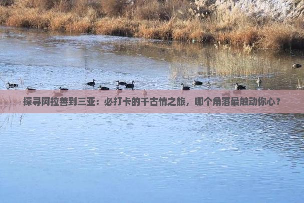 阿拉善盟出发三亚千古情必玩地