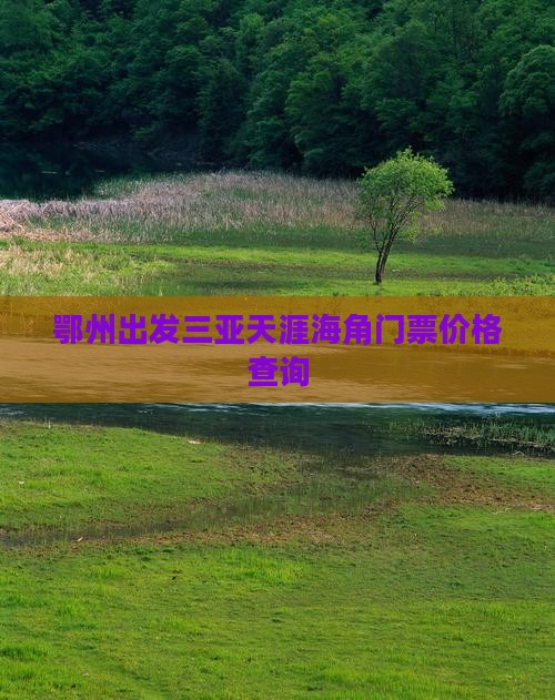 鄂州出发三亚天涯海角门票