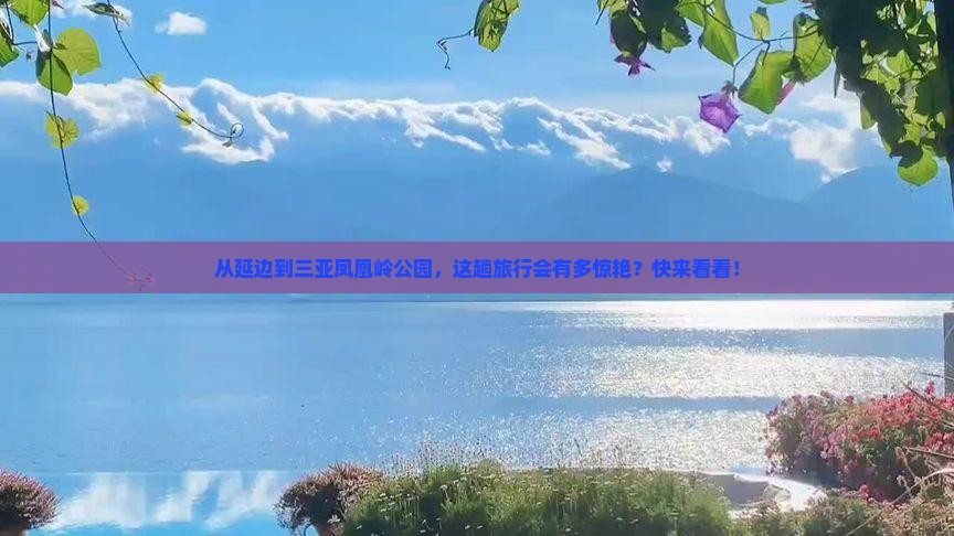 延边出发三亚凤凰岭公园旅游