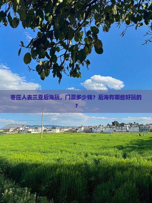 枣庄前往三亚后海门票