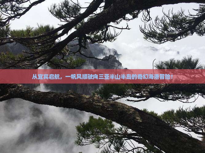 宜宾出发三亚半山半岛帆船港一日游
