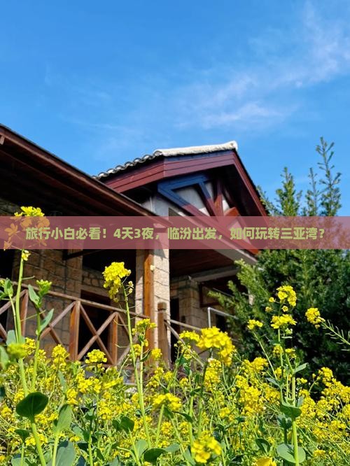 临汾出发三亚三亚湾四日游