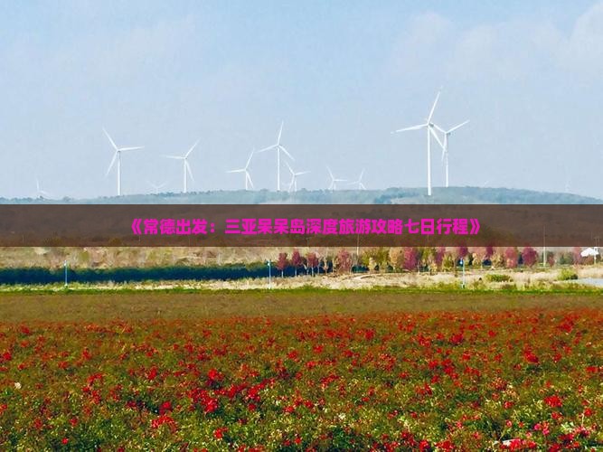 常德出发三亚呆呆岛七日游