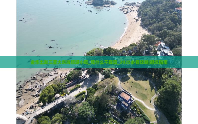 金华出发三亚大东海旅游小吃