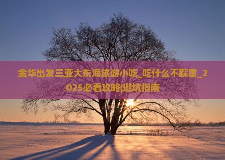 金华出发三亚大东海旅游小吃