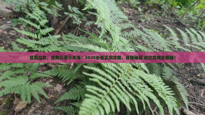宜昌去三亚小东海六日游