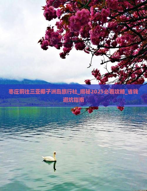 枣庄前往三亚椰子洲岛旅行社