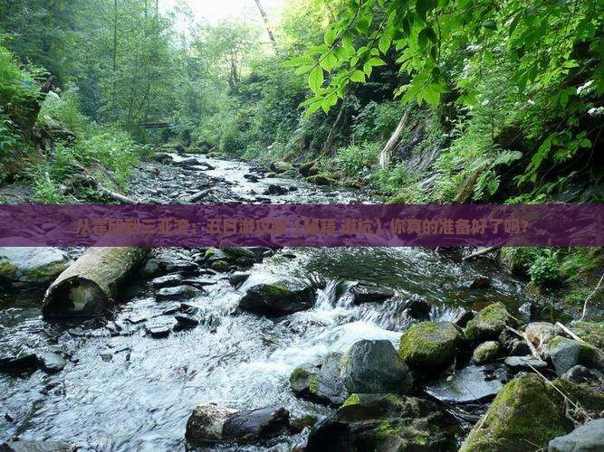 霍邱去三亚三亚湾五日游