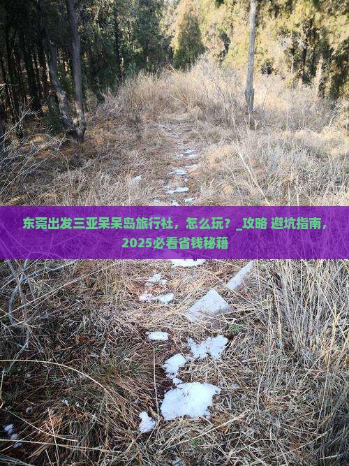 东莞出发三亚呆呆岛旅行社