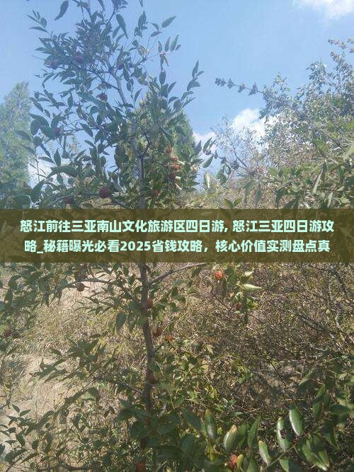怒江前往三亚南山文化旅游区四日游