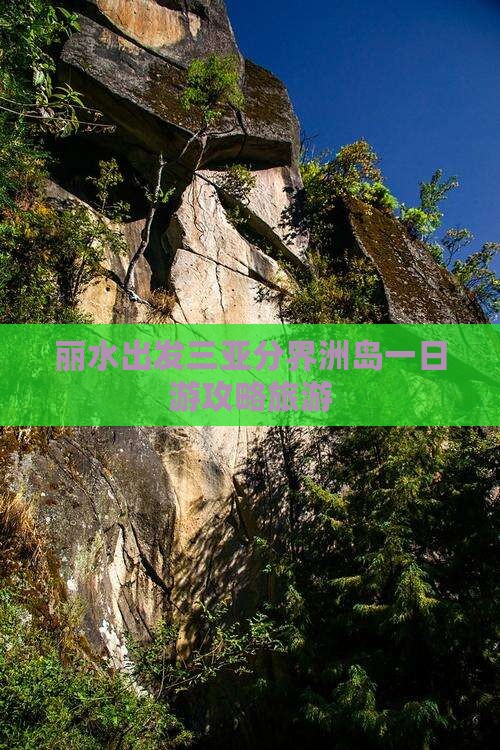 丽水出发三亚分界洲岛一日游